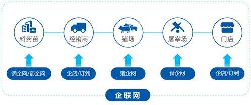 企聯(lián)網(wǎng)智慧養(yǎng)豬場景下產(chǎn)品結構、網(wǎng)絡與信息安全軟件開發(fā)解讀